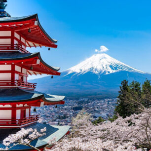 VISIT JAPANESE TEMPLES- ADMIRE CHERRY BLOSSOMS